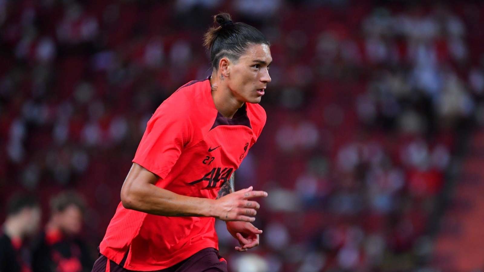 多面开花的 多面开花的